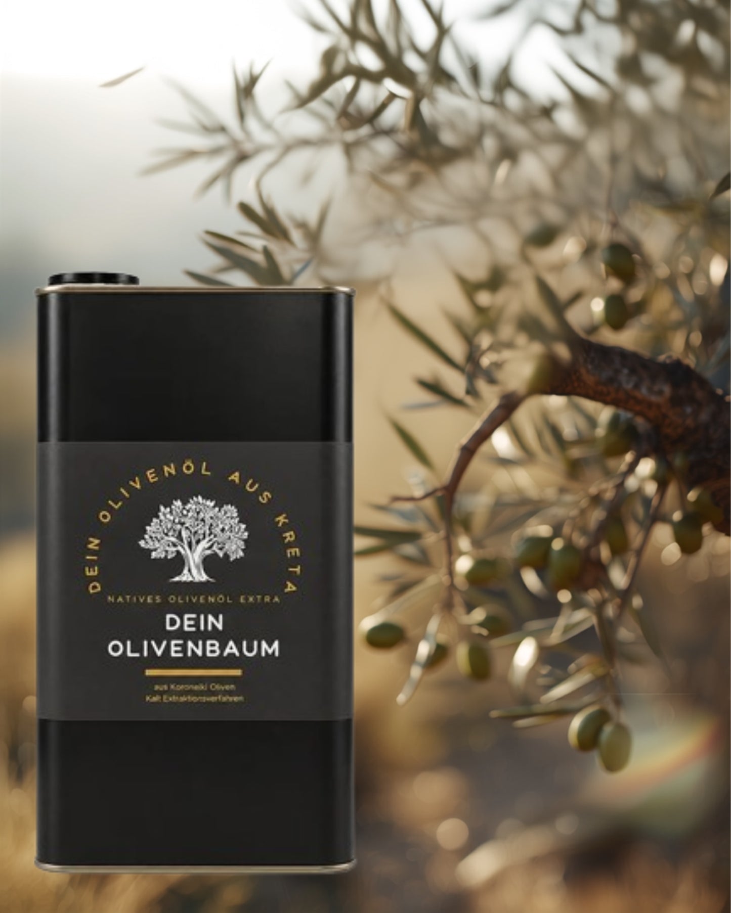 Jahres-Patenschaft für einen Olivenbaum mit 5 Litern Olivenöl aus der Ernte Januar 2026