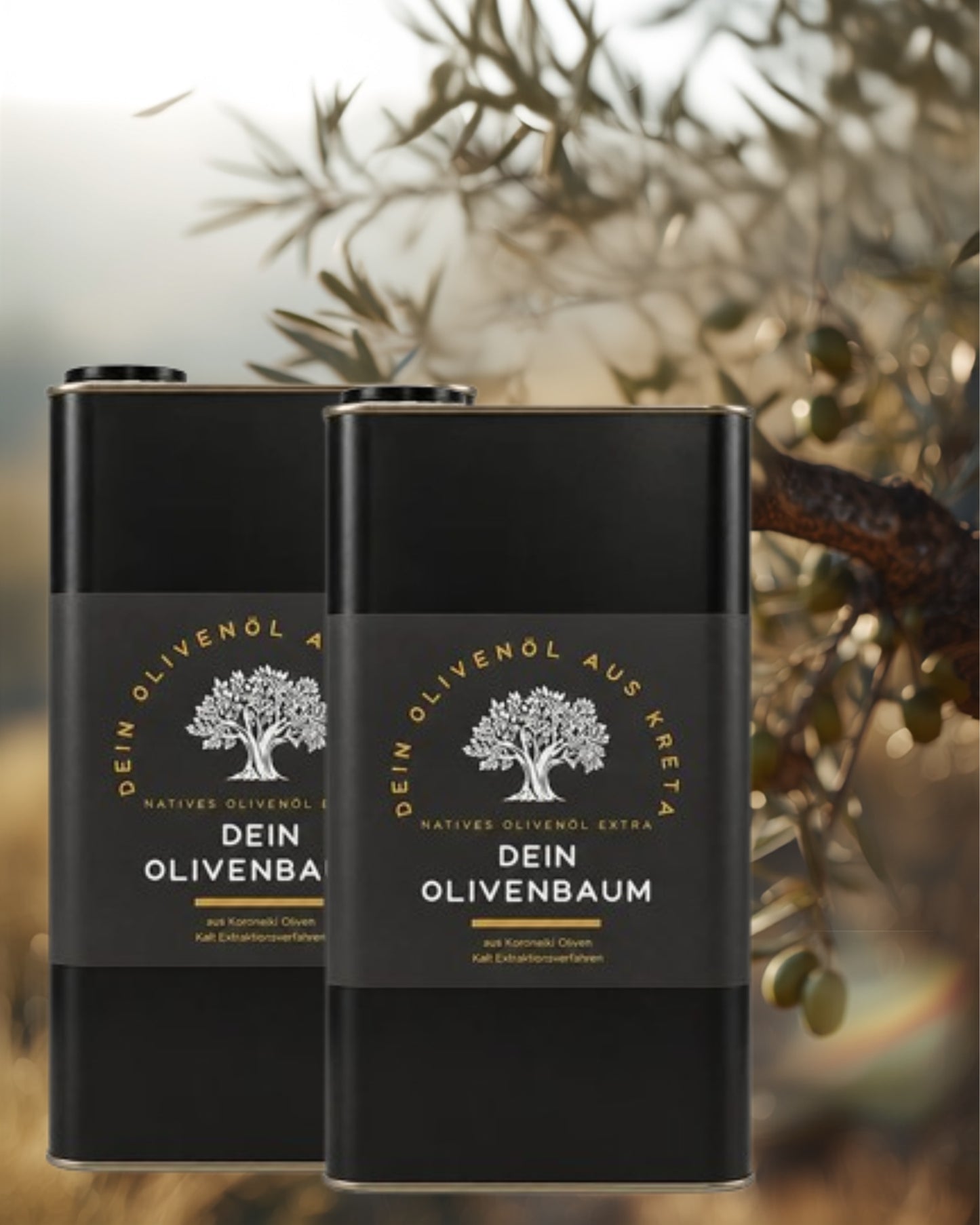 Jahres-Patenschaft für einen Olivenbaum mit 10 Litern Olivenöl aus der Ernte Januar 2026